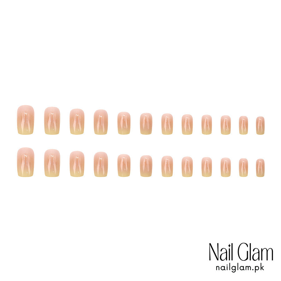 Subtle Ombre Effect (24Pcs) - Application Kit Included