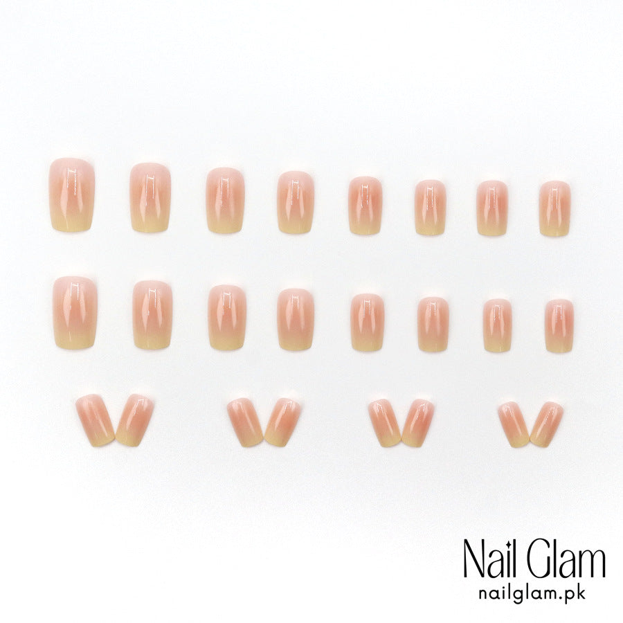 Subtle Ombre Effect (24Pcs) - Application Kit Included